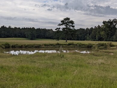 000 Conerly Dr, McComb, MS 39648 - photo 5