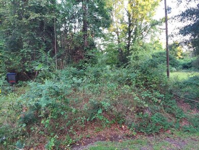 0 Pearson St, Avinger, TX 75630 - photo 3