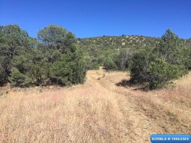 61 Euphoria Rd, Silver City, NM 88061 - photo 6