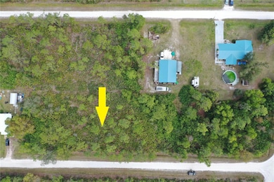 12062 Dahlia St, Punta Gorda, FL 33955 - photo 3