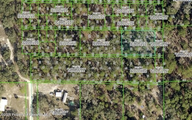 0 Rock Duck Ave unit 2256822, Weeki Wachee, FL 34614 - photo 2