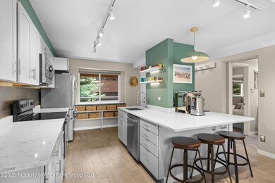 950 Vine St unit 950, Aspen, CO 81611 - photo 6