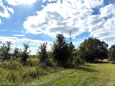 3313 W Jurgenson Rd, Avon Park, FL 33825 - photo 3