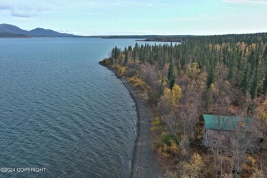 L6B4 Bear Tracks Rd, Aleknagik, AK 99555 - photo 5