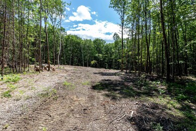 247 Southwest Rd, Canterbury, NH 03224 - photo 5