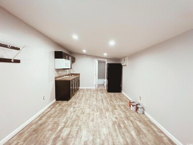 Finished below grade area with light wood-style fl
