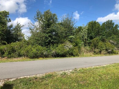 0 Bronco Dr unit O5945609, Saint Cloud, FL 34771 - photo 4