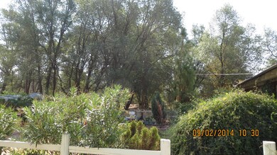 IMG_0808