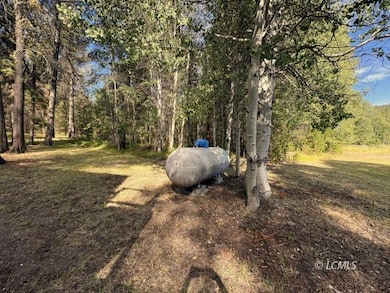 80852 Highway 140, Lakeview, OR 97630 - photo 4