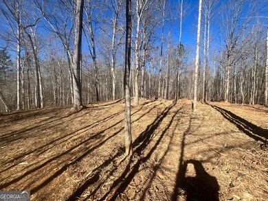 3853 Reservoir Dr unit TRACT 12, Gainesville, GA 30507 - photo 3