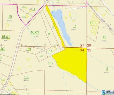 0 Spunky Hollow Rd unit 18.7 acres +/-, Remlap, AL 35133 - photo 5