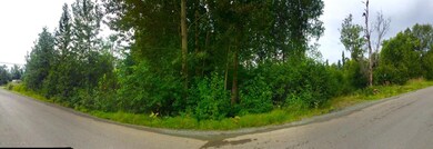 4050 Virgo Ave, Anchorage, AK 99516 - photo 4