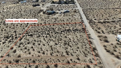 3465 Porter Blvd, Joshua Tree, CA 92252 - photo 6