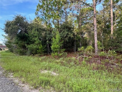 6932 N Steward Point, Citrus Springs, FL 34434 - photo 3