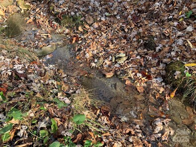 Small Creek at Bottom