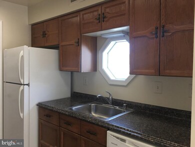 4550 28th Rd S unit D, Arlington, VA 22206 - photo 6