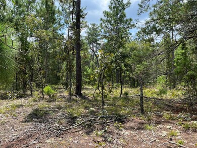 6253 Emory Ave, Keystone Heights, FL 32656 - photo 6