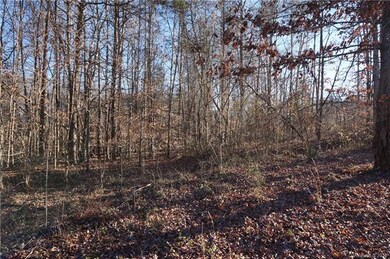 0 Wilkesboro Hwy, Statesville, NC 28625 - photo 5