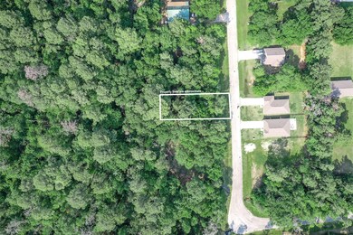 38 Firewood Rd, Huntsville, TX 77340 - photo 2