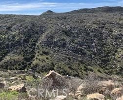 0 Lot 6 Scorpion Canyon Rd unit OC25184054, Hemet, CA 92545 - photo 6