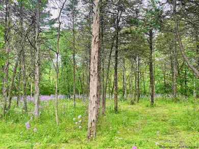 2015 Berme Rd, Kerhonkson, NY 12446 - photo 6