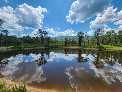 TBD Talihina Ok, Talihina, OK 74571 - photo 4