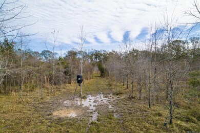 7474 Lemon Rd, Slaughter, LA 70777 - photo 5