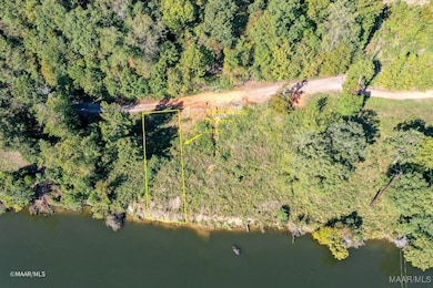 Lot 63 & 63A Riverview Landing Dr, Camden, AL 36726 - photo 5