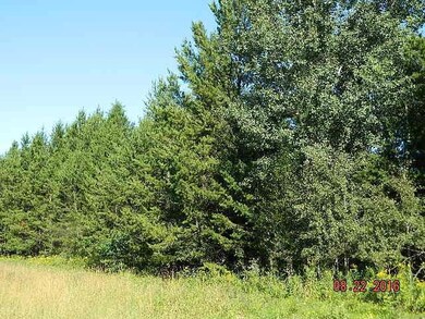 0 W Main St unit 1500008, Webster, WI 54893 - photo 2