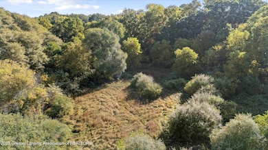 V/L Mill St, Maple Rapids, MI 48853 - photo 5