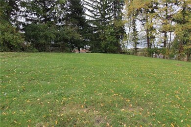 Spacious yard