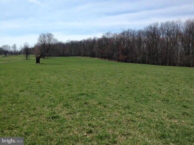 0 Mitchel Mountain unit 1002874928, Upper Tract, WV 26866 - photo 3