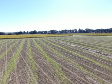 50725 Babel Slough Rd, Clarksburg, CA 95612 - photo 4