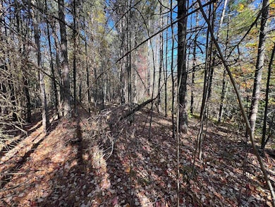 0 Cole School Rd, Beecher, WI 54156 - photo 2