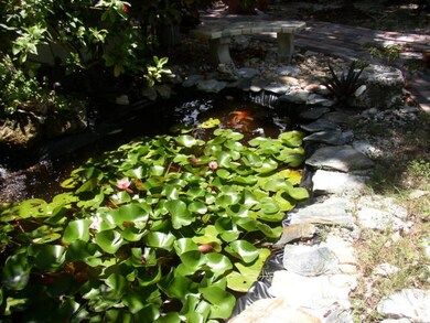Koi Fish Pond