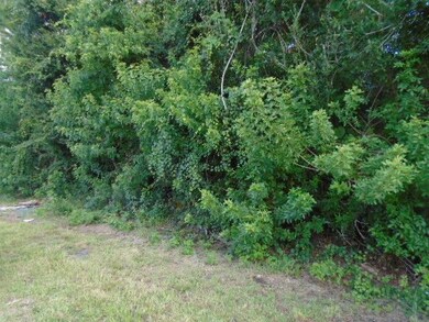 DSC04305