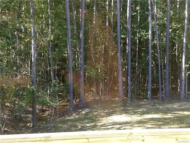 15513 Crows Nest Ct, Chesterfield, VA 23832 - photo 7