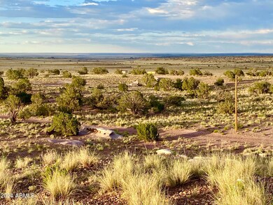 5467 Dusty Rd, Snowflake, AZ 85937 - photo 5