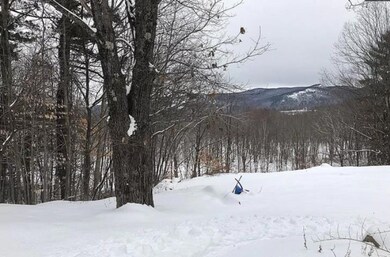 2265 W Side Rd, North Conway, NH 03860 - photo 7