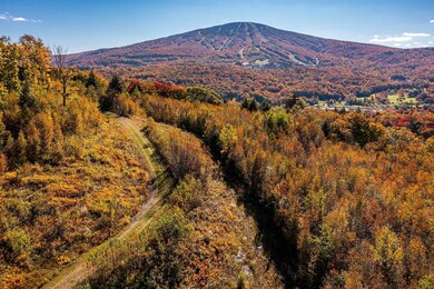 74 Upper Taylor Hill Rd, Winhall, VT 05340 - photo 4