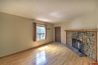 3205 W 5th Ave unit 4, Durango, CO 81301 - photo 3