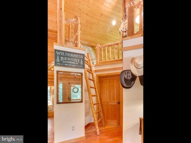 1133 Mosby Springs Rd, Linden, VA 22642 - photo 7