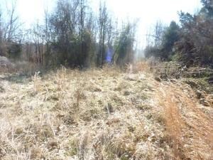 1633 Hawkins Rd, Harrison, AR 72601 - photo 6