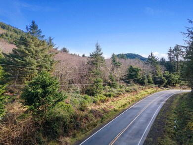 V/L Cape Meares Loop Rd, Oceanside, OR 97141 - photo 4