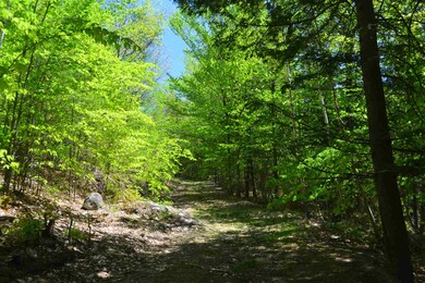 1263 E Madison Rd, Madison, NH 03849 - photo 6