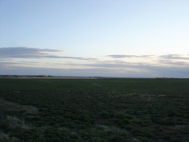 Looking SW
