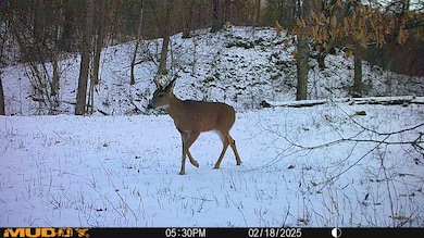 2025-06-17_21-16-23_748