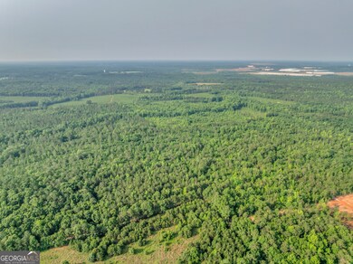 0 County Line Rd unit 10539097, Jenkinsburg, GA 30234 - photo 4