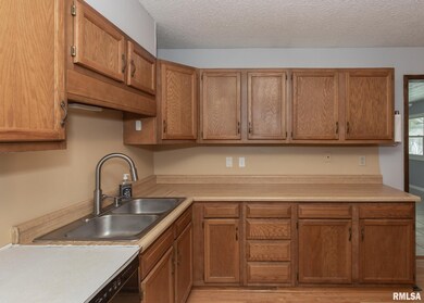 1919 W 46th St, Davenport, IA 52806 - photo 4