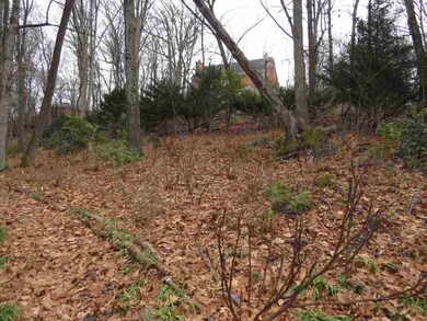 TBD Windsor Rd, Harrisonburg, VA 22801 - photo 4